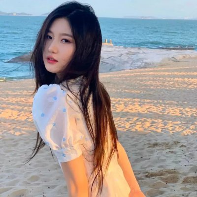诱饵2019